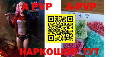 a pvp Кингисепп