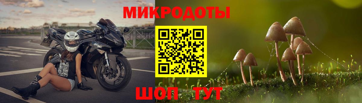 Кстово  Псилоцибиновые грибы Psilocybe  Вход с VPN 